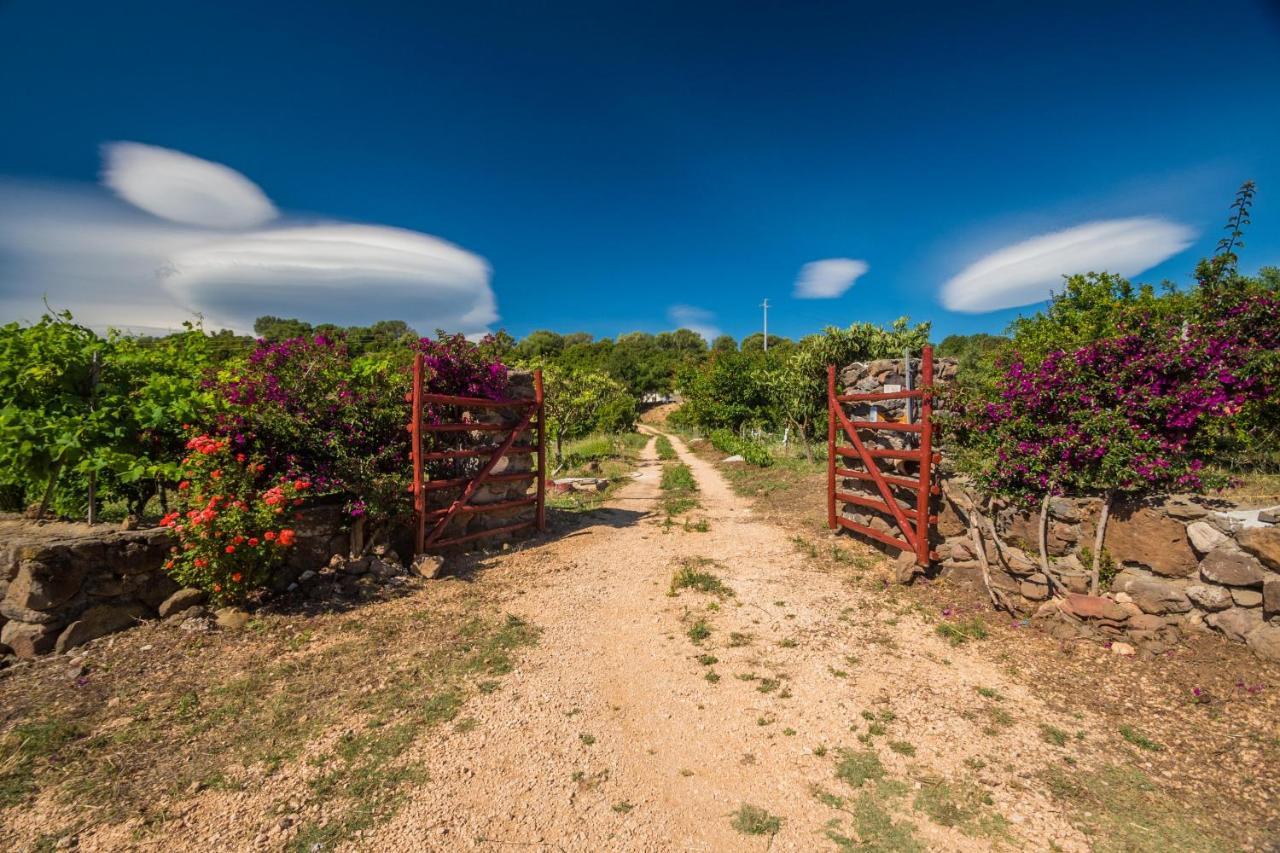 Vila Sa Tanca 'E Pedduzza Orosei Exteriér fotografie