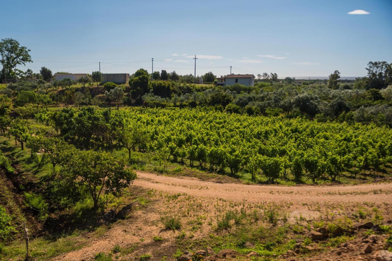 Vila Sa Tanca 'E Pedduzza Orosei Exteriér fotografie