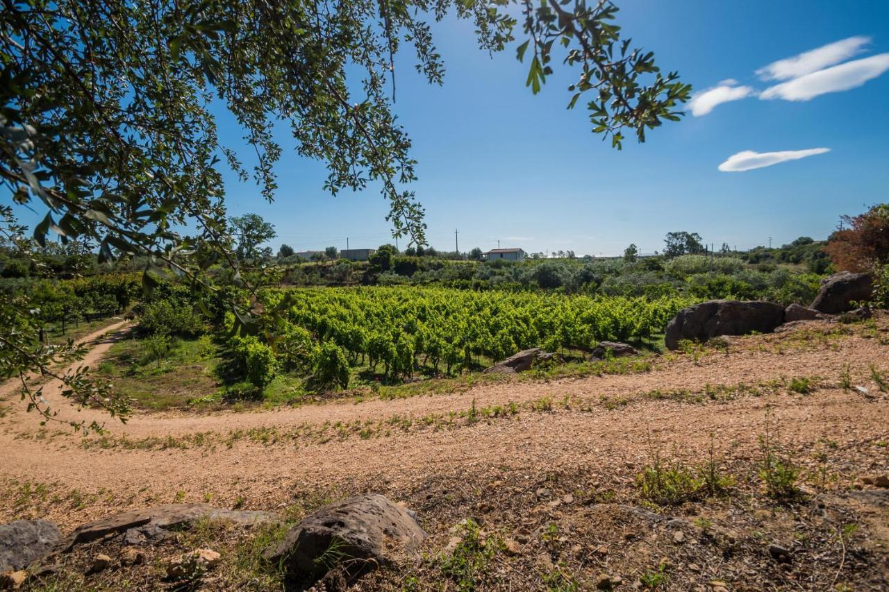 Vila Sa Tanca 'E Pedduzza Orosei Exteriér fotografie
