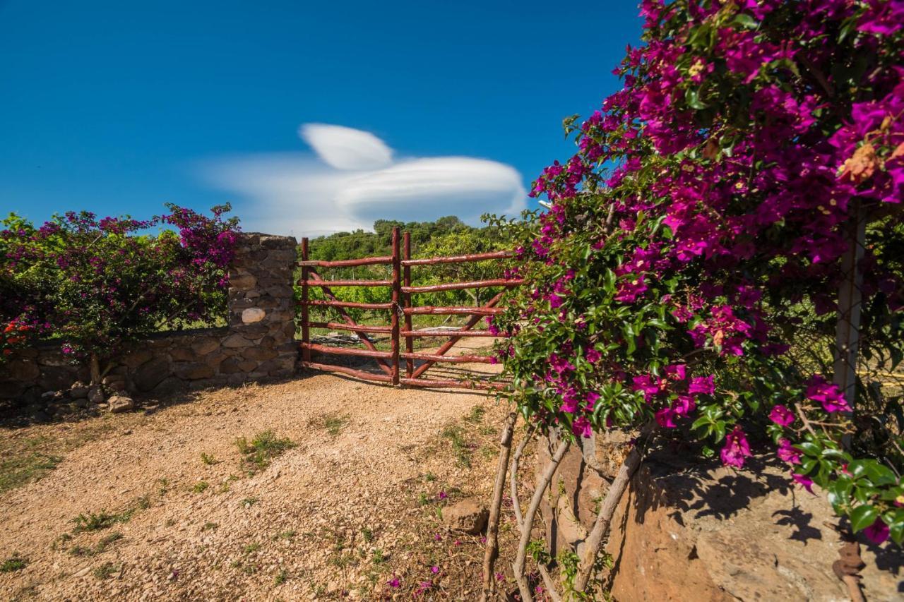 Vila Sa Tanca 'E Pedduzza Orosei Exteriér fotografie
